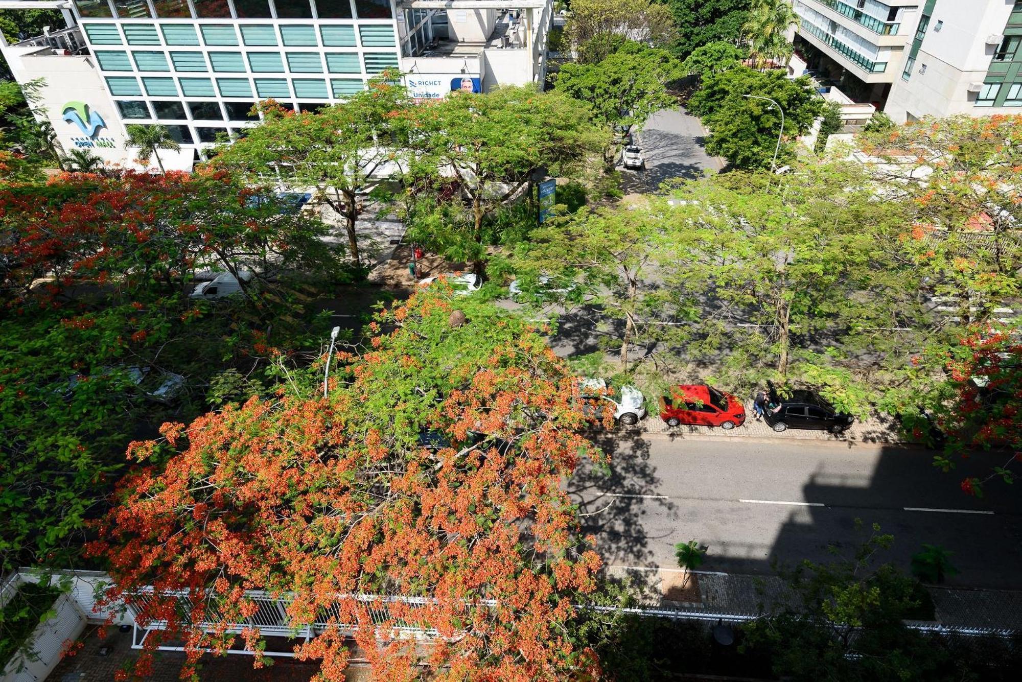 Appartamento C/ Piscina E Garagem | Fl 960/520 Rio de Janeiro
